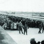 holocaust article pic