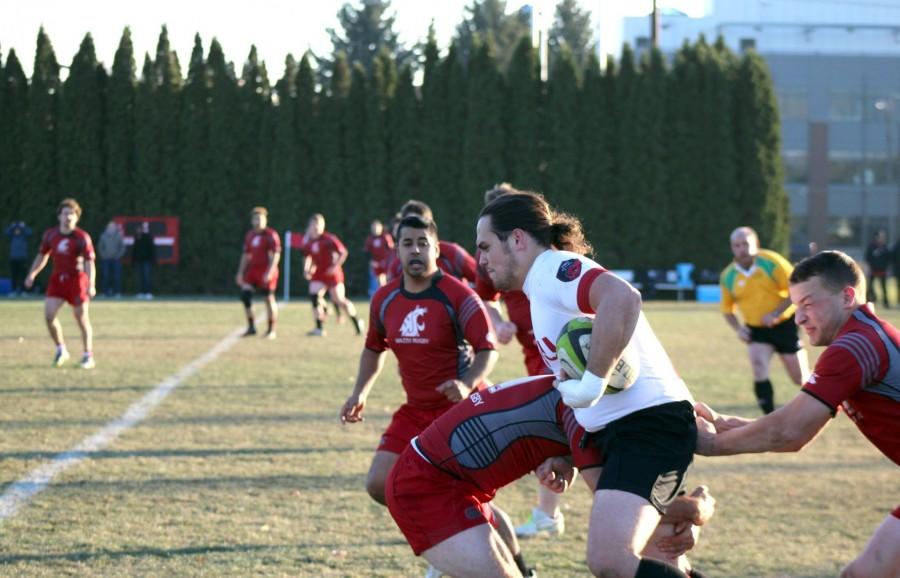 Central rugby to take on Westerns Vikings