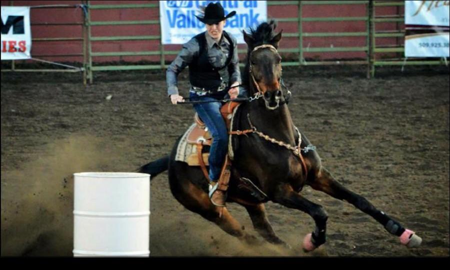 Junior Caity Day directs her horse around obstacles during the barrel racing even in 2014. 