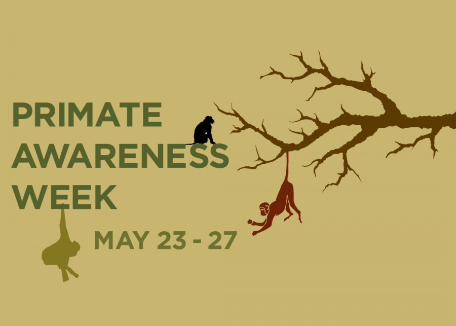 Primate Awareness Week
