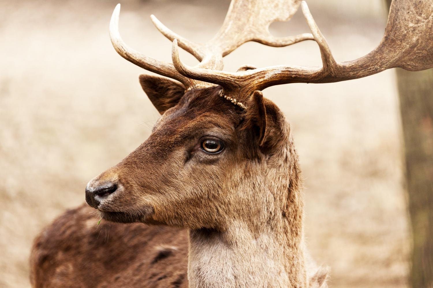 Harsh winter brings changes for hunters