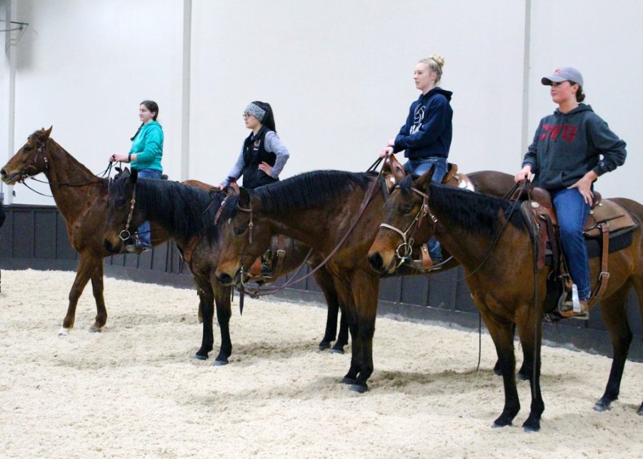 During western ride nights, the team will ride horses on the rail then line up at the end of the arena to do loops. Here is just a small group of the team watching a demonstration of the coming pattern.