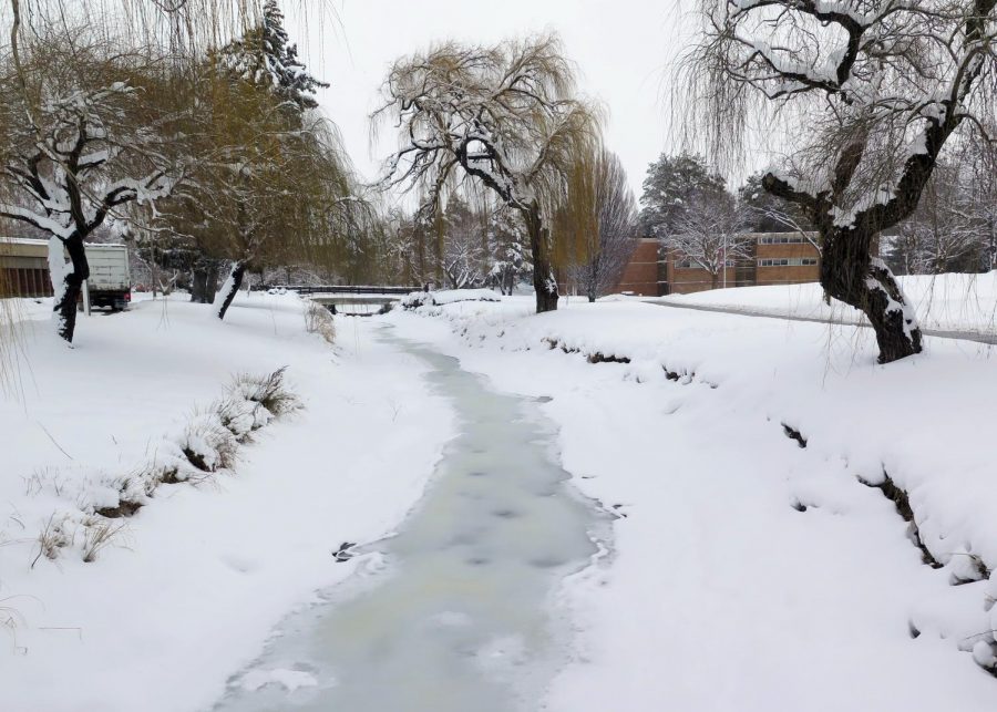 Campus has now collected over a foot of snow. The irrigation canal freezes over and all of the ducks have now left. 
