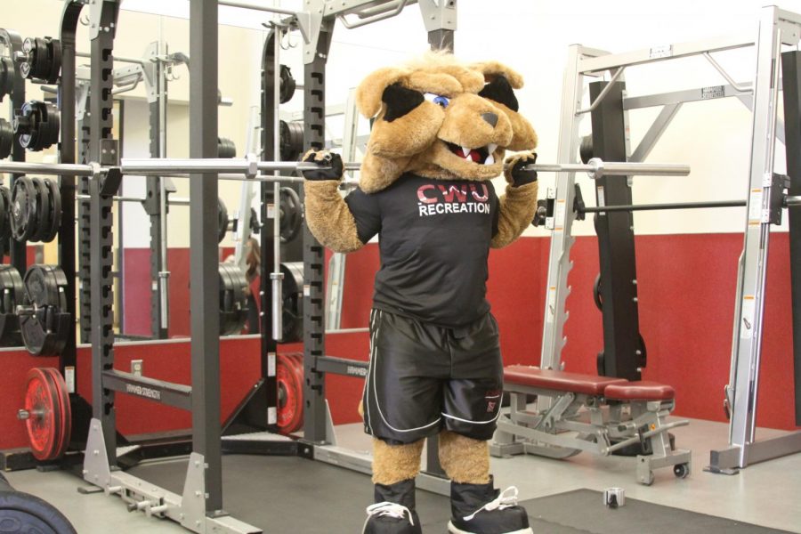 The Iron Cat Games started April 1 and will run through May 13. Students will compete in high intensity
exercises for the chance to win prizes.
