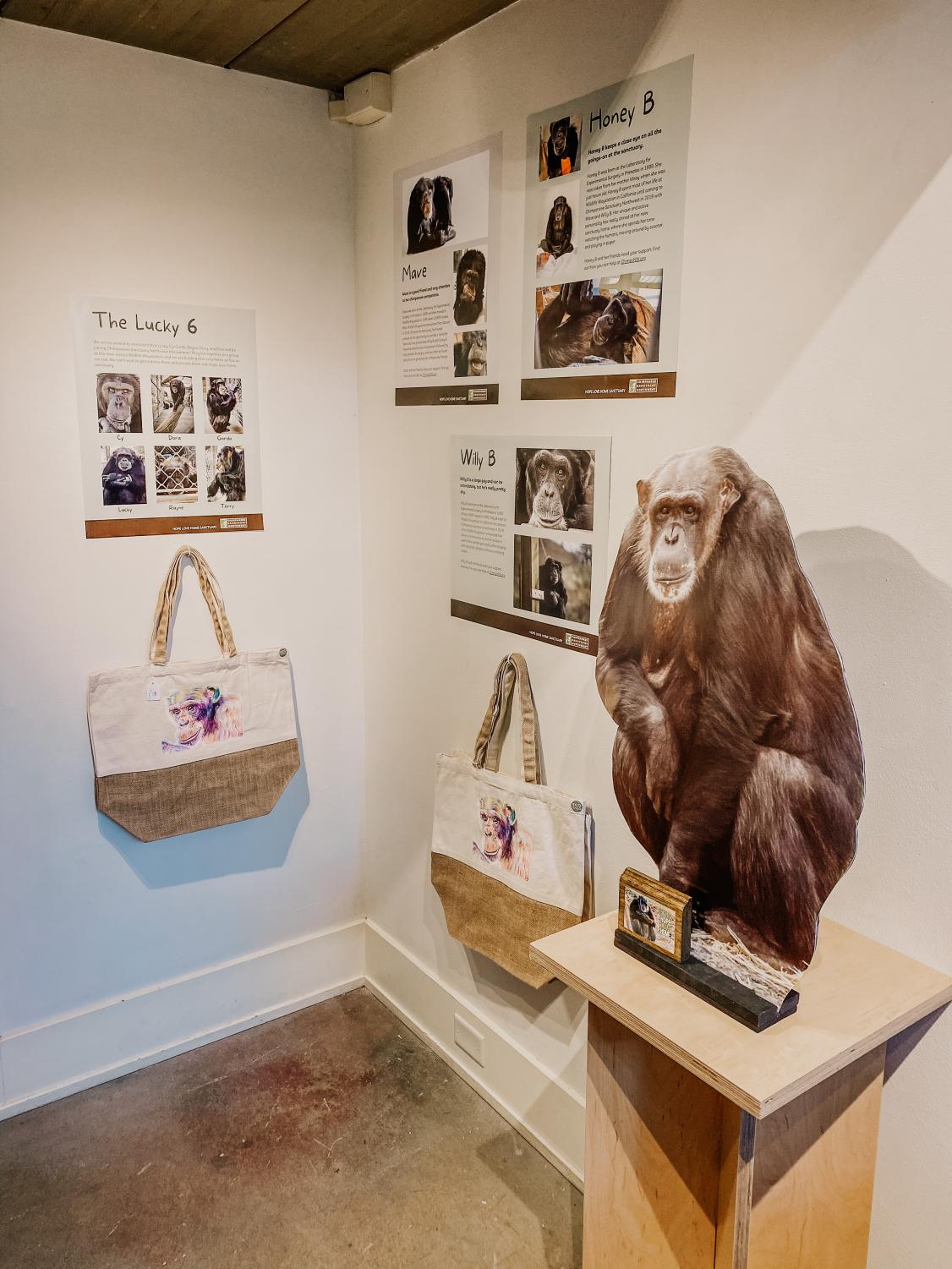 Primate+Awareness+Network+club+co-hosts+fundraiser+with+Gallery+One