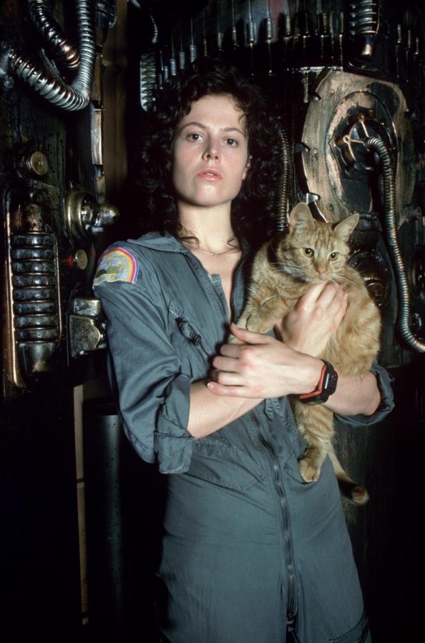In space, no one can hear your opinion: How 'Alien' is still the perfect  blueprint for horror – The Observer