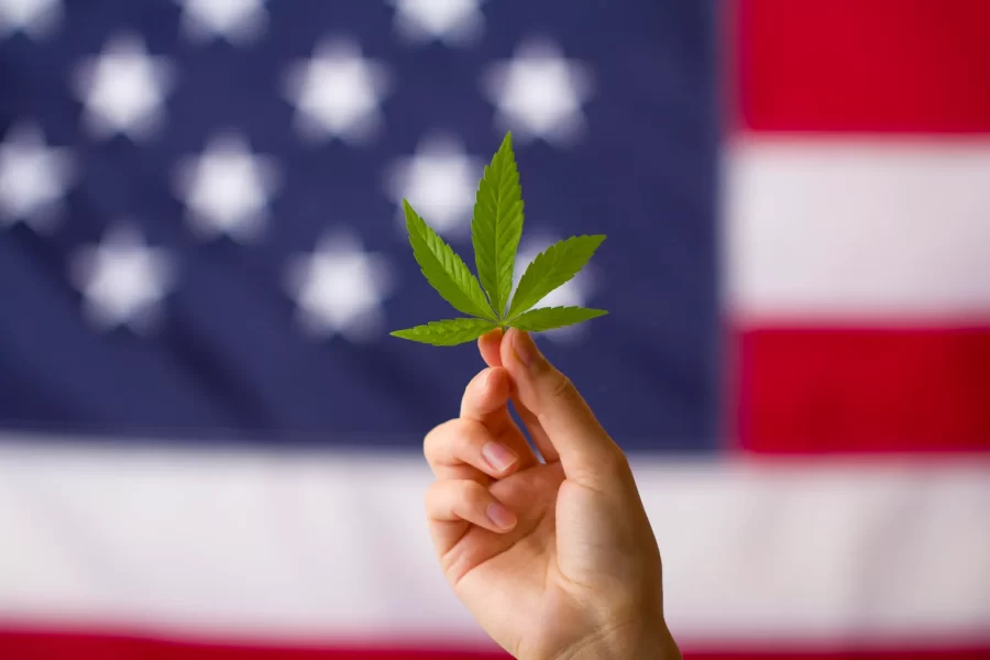 National Debate on legalization. (Getty Images)
