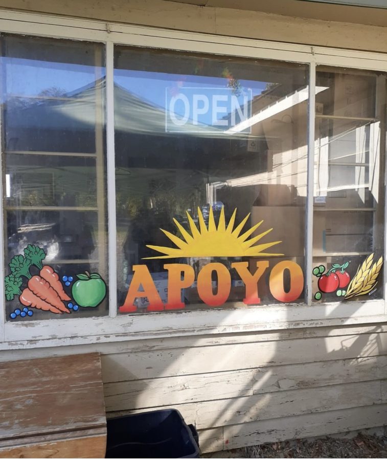 Apoyo+window+decal+in+the+sunshine.+