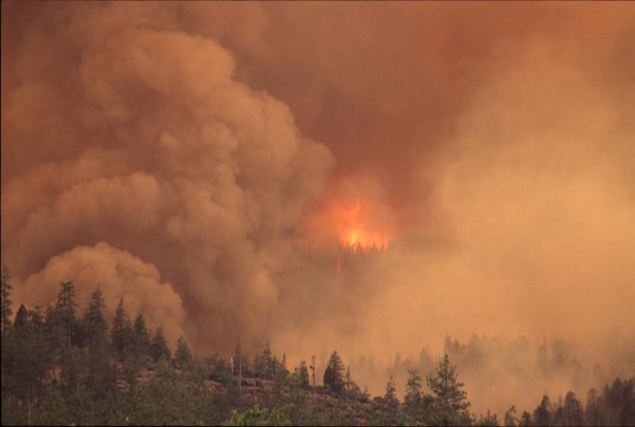 Washington wildfire. Photo courtesy of CWU Flickr