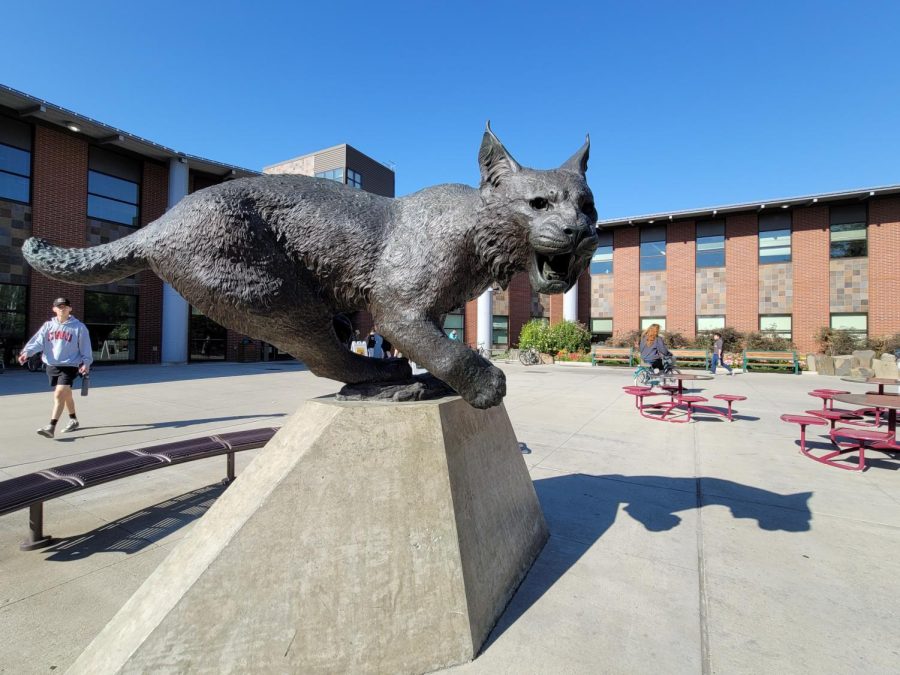 Wildcat statue in front of the SURC. Photo by Andrew Ulstad