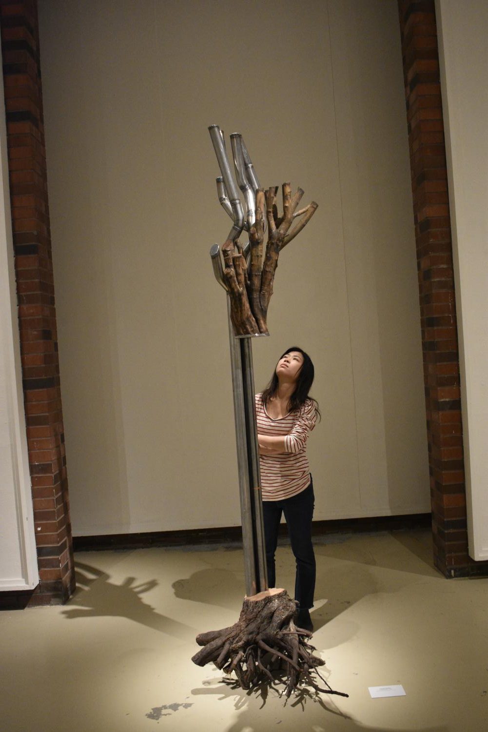 Nature+shown+through+metal+and+sculpture%3A+Sarah+Spurgeon+exhibit+features+Cozette+Philips