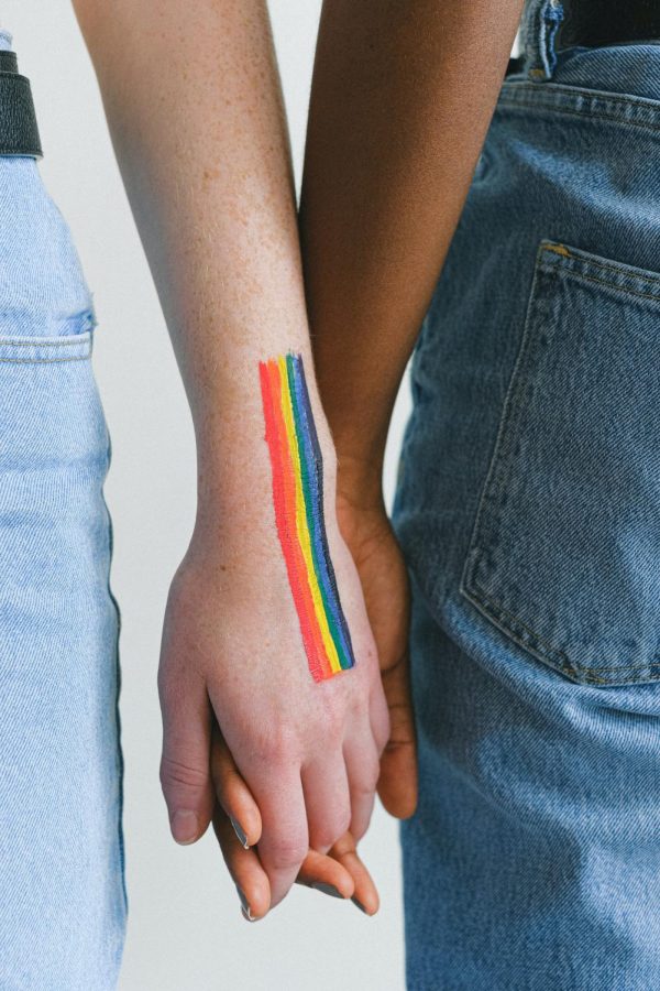 Girls holding hands with pride flag painting, Photo courtesy of Pexels.com