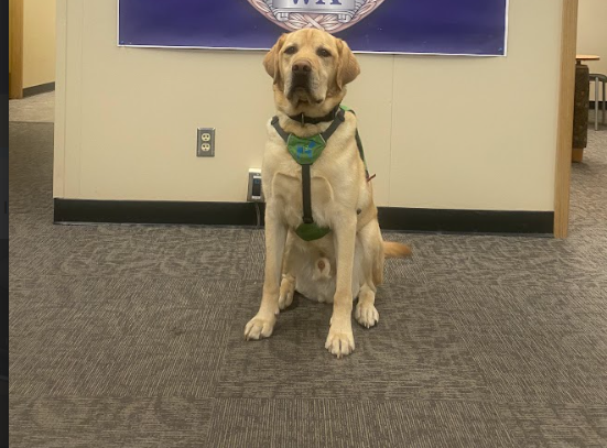 Archie posing. (Photo by Nalanie Pecora)