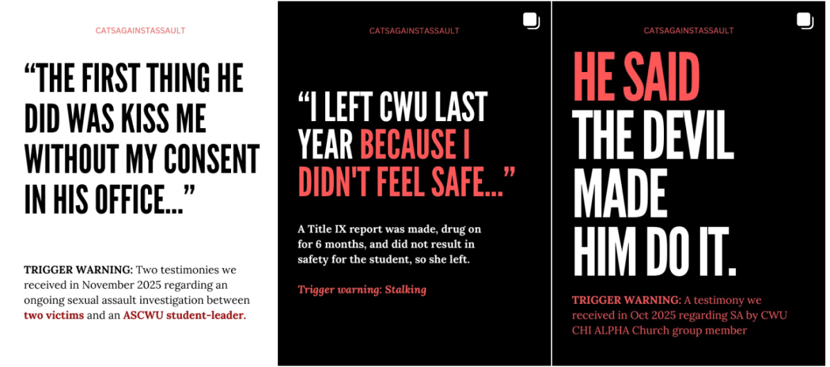 Recent posts by Cats Against Assault. Photo from Instagram.