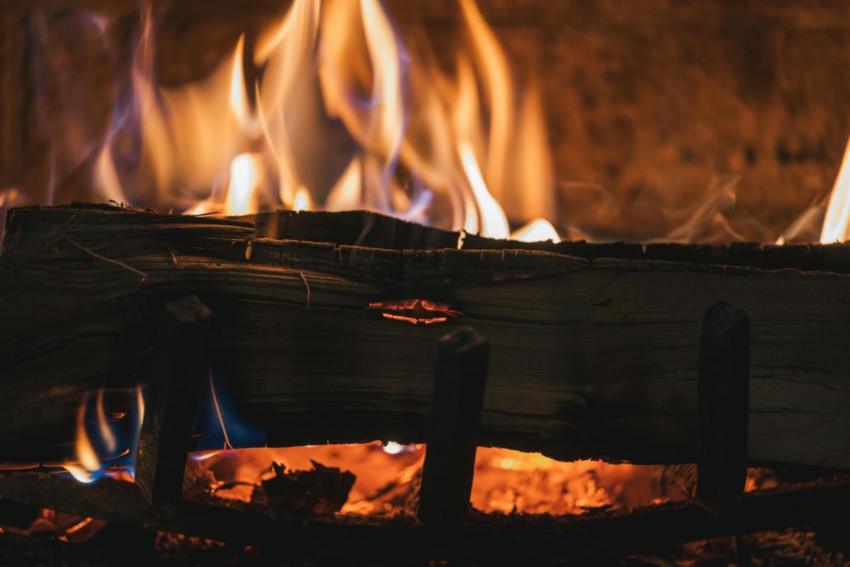 Photo courtesy of Pexels
