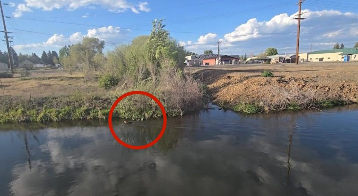 SATIRE: Construction breaks on new dam near Iron Horse