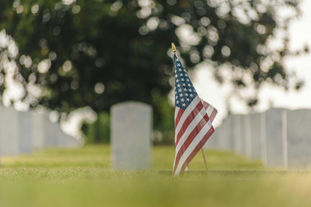Photo courtesy of Pexels